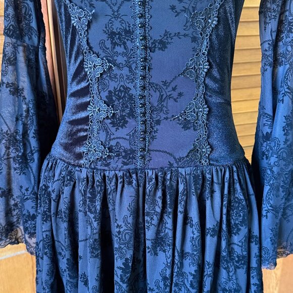 Gothic Victorian EGL Lolita Dark Fairycore Princess of Darkness Dress - Picture 5 of 13